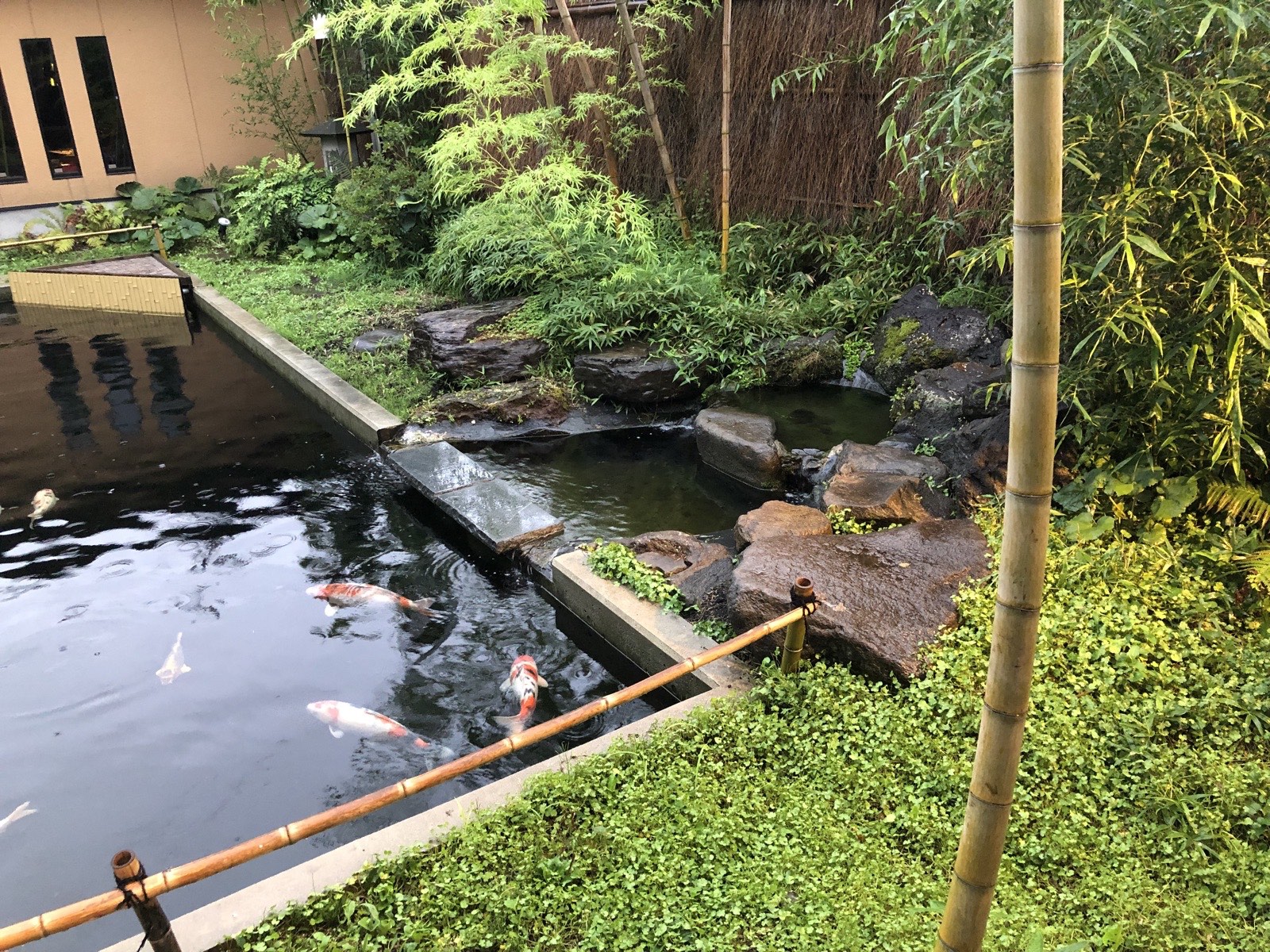 竹林の中庭と池の流れ